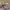 https://res.cloudinary.com/billionhands/image/upload/v1770826302/items/whp0s8lkxq2gpgkr01tp.jpg-3cover