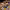 https://res.cloudinary.com/billionhands/image/upload/v1770826393/items/jiso9gsyrbyuznl2qh7r.jpg-2cover