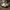 https://res.cloudinary.com/billionhands/image/upload/v1770826394/items/d61mxsgs3rp4ygpospf9.jpg-0cover