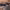 https://res.cloudinary.com/billionhands/image/upload/v1770826411/items/af2lpec9ohrponi0wtdv.jpg-0cover