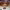 https://res.cloudinary.com/billionhands/image/upload/v1770826421/items/wnwqrv4kfxrpcst0gbib.jpg-1cover