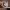 https://res.cloudinary.com/billionhands/image/upload/v1770826424/items/arlmtff3w7bzvhabwgx6.jpg-3cover