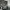 https://res.cloudinary.com/billionhands/image/upload/v1770826425/items/gamcgwbdq9zwtvegjjqt.jpg-1cover