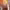 https://res.cloudinary.com/billionhands/image/upload/v1770826515/items/qz23mzbivs2vqirek3w6.jpg-3cover