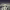 https://res.cloudinary.com/billionhands/image/upload/v1770826623/items/acayn2jz18rkh2tcribh.jpg-1cover