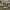 https://res.cloudinary.com/billionhands/image/upload/v1770826629/items/pydtlcjhlpj9x7fqorno.jpg-2cover