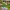 https://res.cloudinary.com/billionhands/image/upload/v1770826631/items/mm7ca8rfibwv4avtae5y.jpg-2cover
