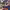 https://res.cloudinary.com/billionhands/image/upload/v1770826639/items/lldfg45vlhqkpq06mp3u.jpg-2cover