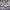https://res.cloudinary.com/billionhands/image/upload/v1770826693/items/tvjxgceyqifl72chs47l.jpg-2cover