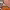 https://res.cloudinary.com/billionhands/image/upload/v1770826700/items/s9hohfrjlso9uo6mvvgz.jpg-0cover