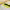https://res.cloudinary.com/billionhands/image/upload/v1770826732/items/xydkvpjjv8tsj0ngvckm.jpg-2cover