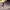 https://res.cloudinary.com/billionhands/image/upload/v1770826734/items/vpummyixhniixxmliqsb.jpg-2cover