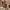 https://res.cloudinary.com/billionhands/image/upload/v1770826738/items/wyj897gljy5vit2pofbs.avif-0cover