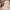https://res.cloudinary.com/billionhands/image/upload/v1770826739/items/petzx77l5baqcje0kw32.webp-2cover