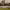 https://res.cloudinary.com/billionhands/image/upload/v1770826742/items/vjkpx8dx14zyrfnbjdjx.avif-1cover