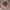 https://res.cloudinary.com/billionhands/image/upload/v1770826864/items/x09lfaaopf4hcaeevvv9.webp-1cover