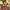 https://res.cloudinary.com/billionhands/image/upload/v1770826873/items/zcge8wovtronodvga4do.webp-2cover