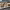 https://res.cloudinary.com/billionhands/image/upload/v1770826925/items/vlykuqqejvcw2cmfuqy4.webp-0cover