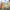 https://res.cloudinary.com/billionhands/image/upload/v1770826939/items/zrpgxsaunkxuihywfjsn.avif-2cover