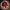 https://res.cloudinary.com/billionhands/image/upload/v1770826984/items/ogbkhmac2mv65vgpbowy.webp-1cover