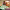https://res.cloudinary.com/billionhands/image/upload/v1770826984/items/yw4e8dfpnwdkd8bz1xfc.jpg-0cover