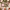 https://res.cloudinary.com/billionhands/image/upload/v1770826990/items/f2u4ho3945drsduympfk.jpg-0cover