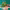 https://res.cloudinary.com/billionhands/image/upload/v1770826999/items/gdcnmnrk9bxeocpbazil.jpg-2cover