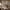 https://res.cloudinary.com/billionhands/image/upload/v1770827243/items/bjxhe1k46uphliguxkc4.webp-3cover