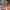https://res.cloudinary.com/billionhands/image/upload/v1770827248/items/gqmrvjil6ext6o5puq7w.jpg-3cover