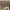 https://res.cloudinary.com/billionhands/image/upload/v1770827324/items/ombo7ceqz1hk3oekbge9.jpg-0cover