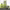 https://res.cloudinary.com/billionhands/image/upload/v1770827351/items/yjngnqdqpqhr0hgpiuag.webp-2cover