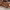 https://res.cloudinary.com/billionhands/image/upload/v1770827352/items/cjxyx0hqhfpxrxlkwx7p.jpg-2cover