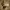 https://res.cloudinary.com/billionhands/image/upload/v1770827368/items/fcfejlk17c7wpeazjcsl.webp-1cover