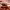 https://res.cloudinary.com/billionhands/image/upload/v1770827382/items/xqitg6w1cyecpd60xizu.webp-2cover