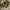 https://res.cloudinary.com/billionhands/image/upload/v1770827410/items/ayoaxnhzbithfd0t7vio.avif-1cover