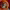 https://res.cloudinary.com/billionhands/image/upload/v1770827536/items/enfa4itet5sbra4bzmk3.webp-1cover