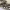 https://res.cloudinary.com/billionhands/image/upload/v1770827555/items/qu850mhjvfi1zrs4jzjv.jpg-3cover