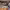 https://res.cloudinary.com/billionhands/image/upload/v1770827556/items/gzjungep2974nooti3eu.webp-2cover