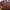 https://res.cloudinary.com/billionhands/image/upload/v1770827663/items/sfemakxtjwriqhg1wdqr.jpg-0cover