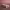 https://res.cloudinary.com/billionhands/image/upload/v1770827674/items/rm46jgfzb5ndfqx4tw1m.jpg-1cover
