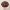 https://res.cloudinary.com/billionhands/image/upload/v1770827683/items/iojkxcz0jvg9p1opds4i.webp-1cover