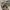 https://res.cloudinary.com/billionhands/image/upload/v1770827691/items/urh4krg2ygq8vzyrhiss.jpg-3cover