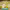 https://res.cloudinary.com/billionhands/image/upload/v1770827733/items/ewpxurj0bsvdqgvdjs1c.jpg-1cover