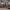 https://res.cloudinary.com/billionhands/image/upload/v1770827814/items/gapgpjx2rexyex7icwhx.jpg-3cover