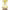 https://res.cloudinary.com/billionhands/image/upload/v1770827874/items/x1eyvahkwcu6uq4detvn.jpg-2cover