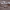 https://res.cloudinary.com/billionhands/image/upload/v1770827891/items/nli5vocc1smdjy6tuhny.jpg-3cover