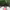 https://res.cloudinary.com/billionhands/image/upload/v1770828008/items/d23j9gitj5kfvaw8tqvg.gif-3cover