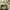 https://res.cloudinary.com/billionhands/image/upload/v1770828021/items/fuu333ya9vnpxppbyk2d.jpg-1cover