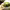 https://res.cloudinary.com/billionhands/image/upload/v1770828027/items/tdiuwbmxv1cwtlad6ok7.webp-1cover