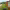 https://res.cloudinary.com/billionhands/image/upload/v1770828145/items/cxmplkwzdkgynyva69ej.jpg-0cover